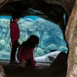A mother and young child press close to a glowing jellyfish exhibit at one of Tokyo's best Tokyo aquariums for children